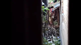 Desi Recalled and Piss3.AVI
